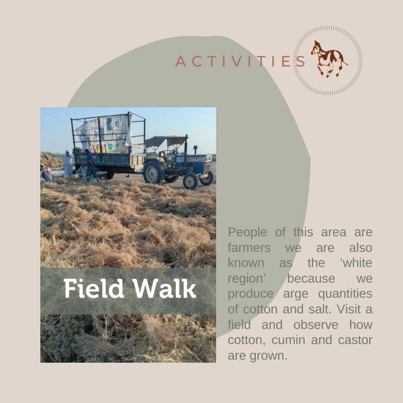 Field Walk