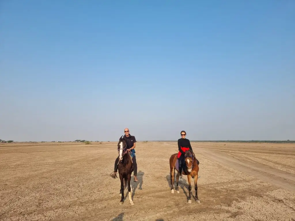 20221115 083320 scaled